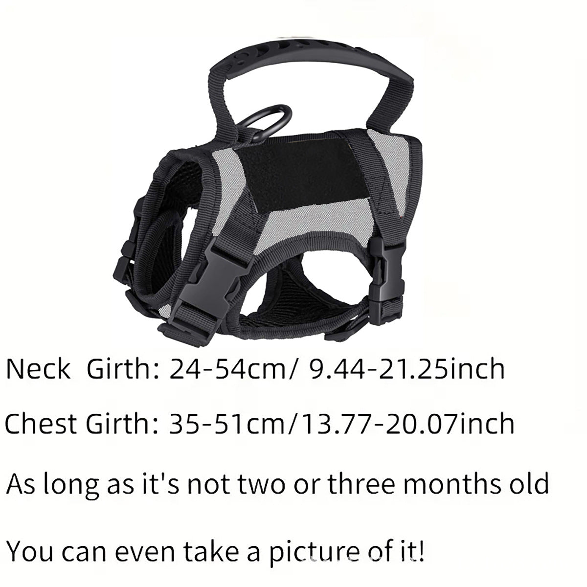 Tactical style vest harness in camouflage on a small dog