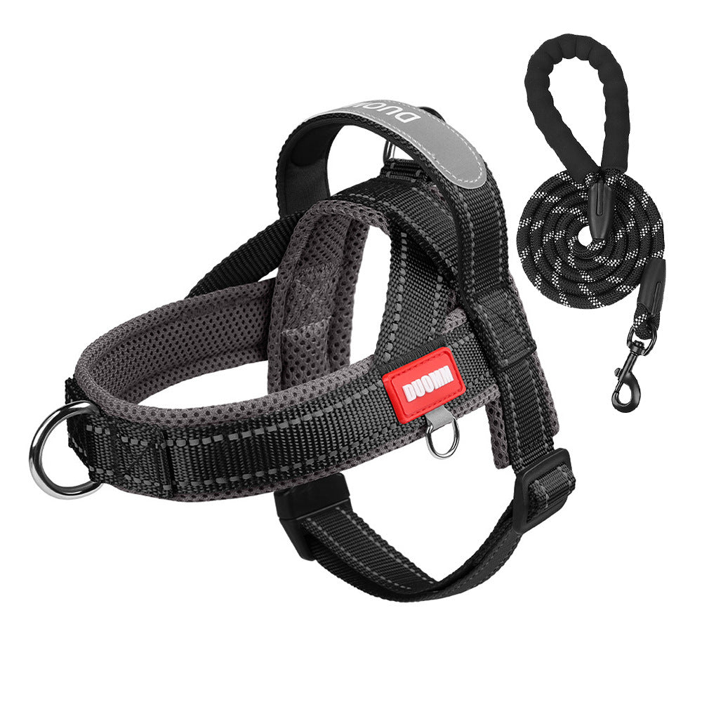 Reflective no pull saddle harness in red and blue on a dog