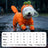 Full body four leg dog raincoats in twelve styles