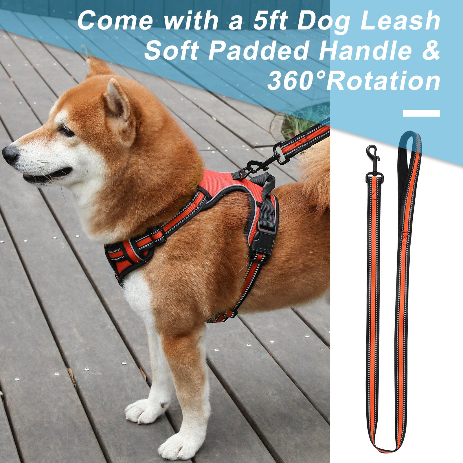 Burst proof dog harness shown in bright colours with round rope lead
