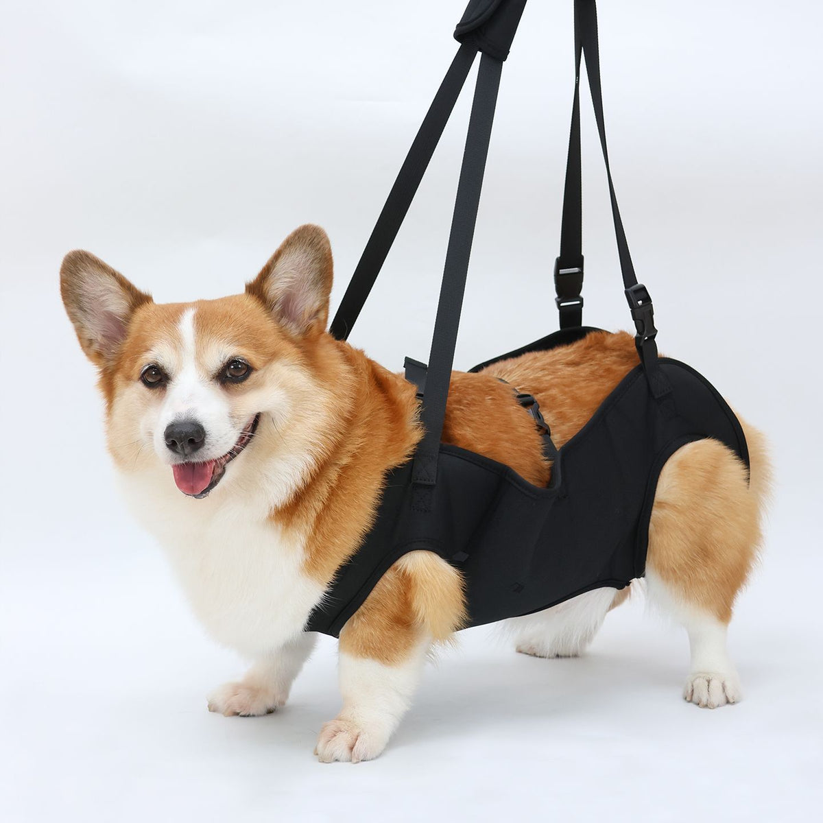 Dog lifting support harness with handles for stairs, view 2