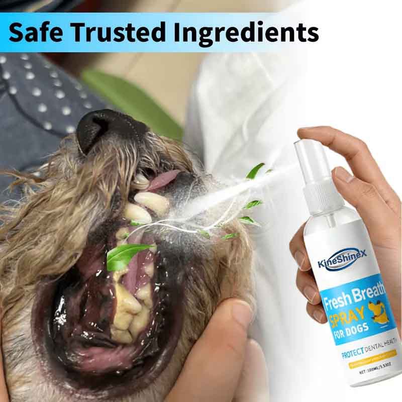 Pet Teeth Cleaning Oral Spray for Bad Breath and Tartar