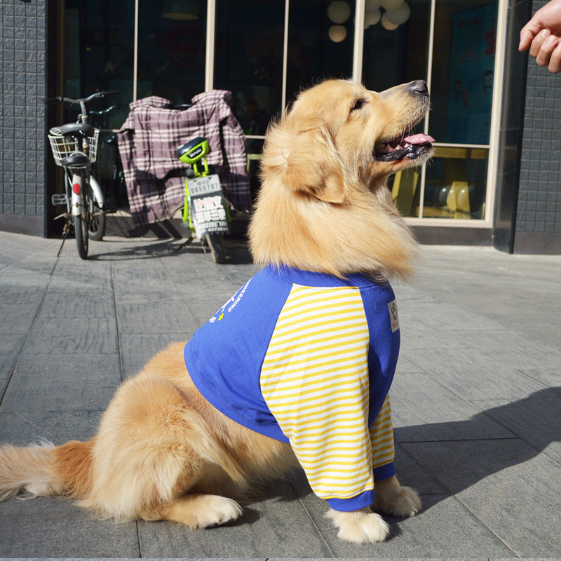 Dog elbow guard suit for large dogs, available in 3 colours, image 7