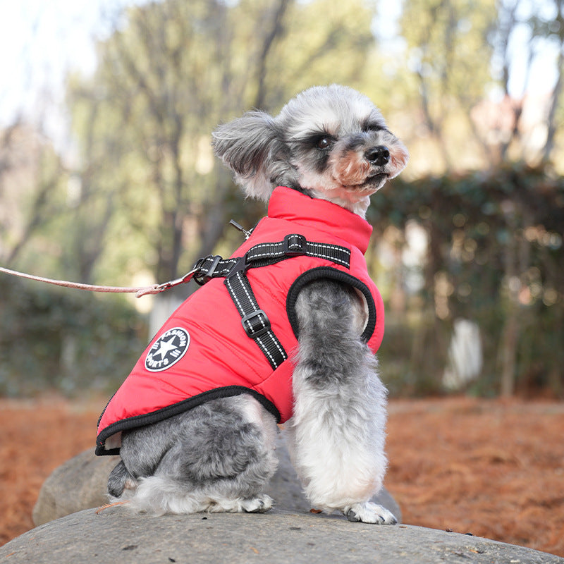 Padded cotton dog jacket with built-in lead vest in Pink, in a home setting