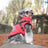 Padded cotton dog jacket with built-in lead vest in Pink, in a home setting