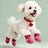 Breathable dog shoes with non slip sole, available in 4 colours, image 1