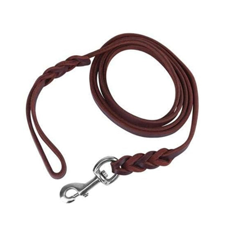 Braided dark brown leather dog lead with locking hook, ideal for everyday use