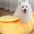 Banana boat shaped dog bed for cats and small dogs, alternative angle view