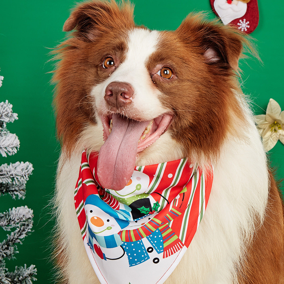 Cartoon print pet bandana for dogs and cats in Design 1, top view