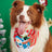 Cartoon print pet bandana for dogs and cats in Design 1, top view