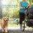 Hands-free running lead with waist belt, available from Pet Royale UK