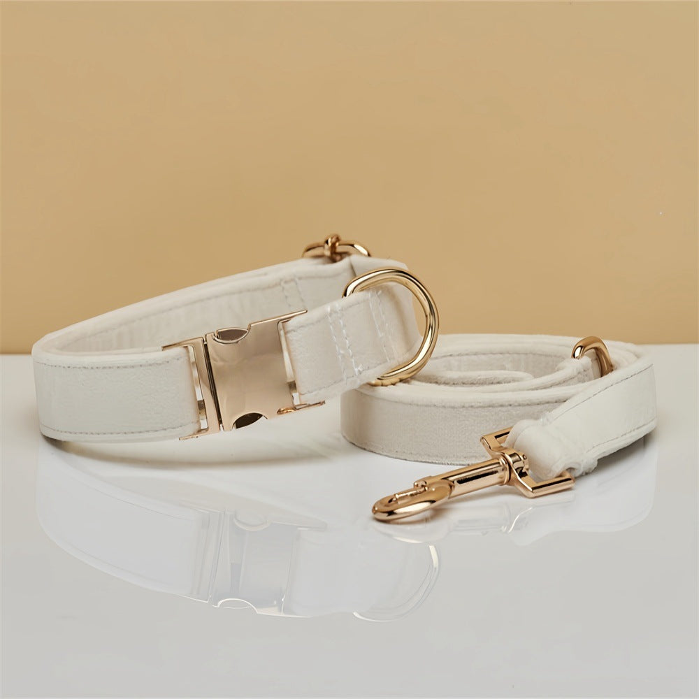 Soft velvet dog collar with metal buckle, 4 sizes available