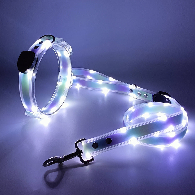 USB rechargeable LED dog collar and lead in Blue Collar, close-up detail