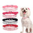 Sparkly rhinestone collar for cats and dogs in 11 colour options