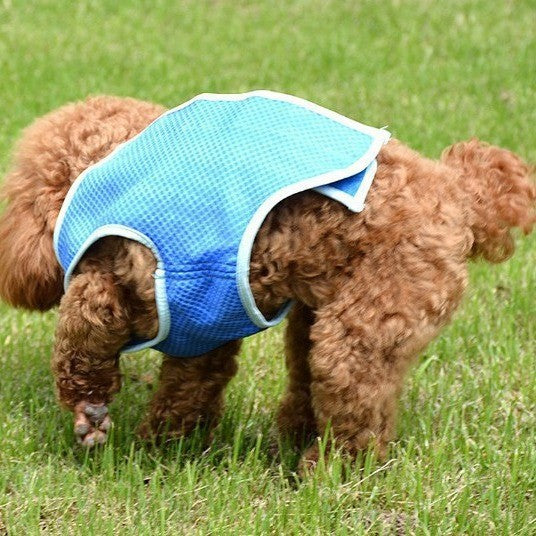 Evaporative cooling vest and collar for dogs, image 1