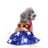 Selection of Christmas and Halloween pet costume designs