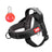 Reflective no pull saddle harness in red and blue on a dog