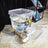 Automatic Pet Water Dispenser