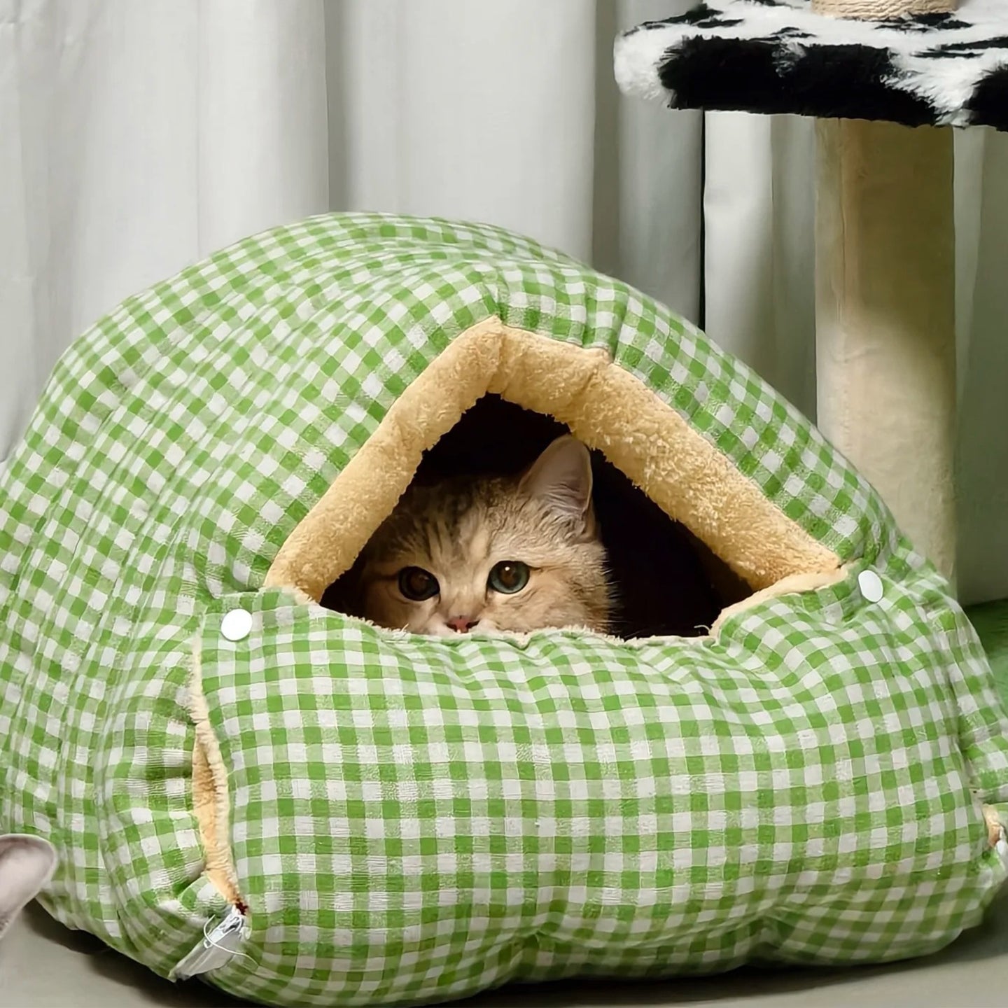 Convertible Zip Pet Cave Bed for Cats and Small Dogs, Washable