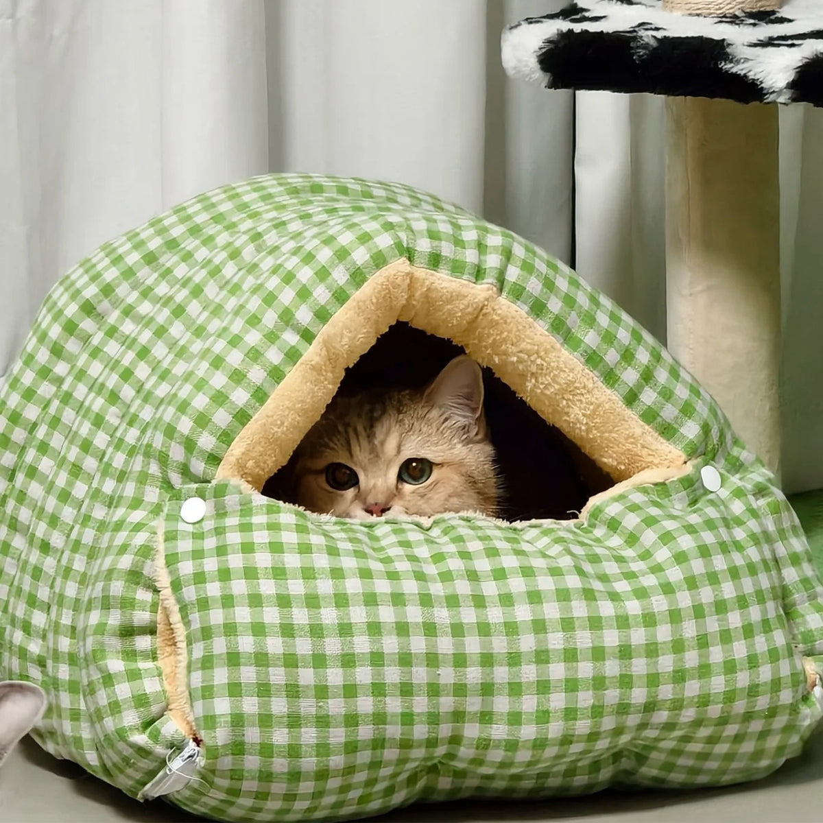Convertible Zip Pet Cave Bed for Cats and Small Dogs, Washable