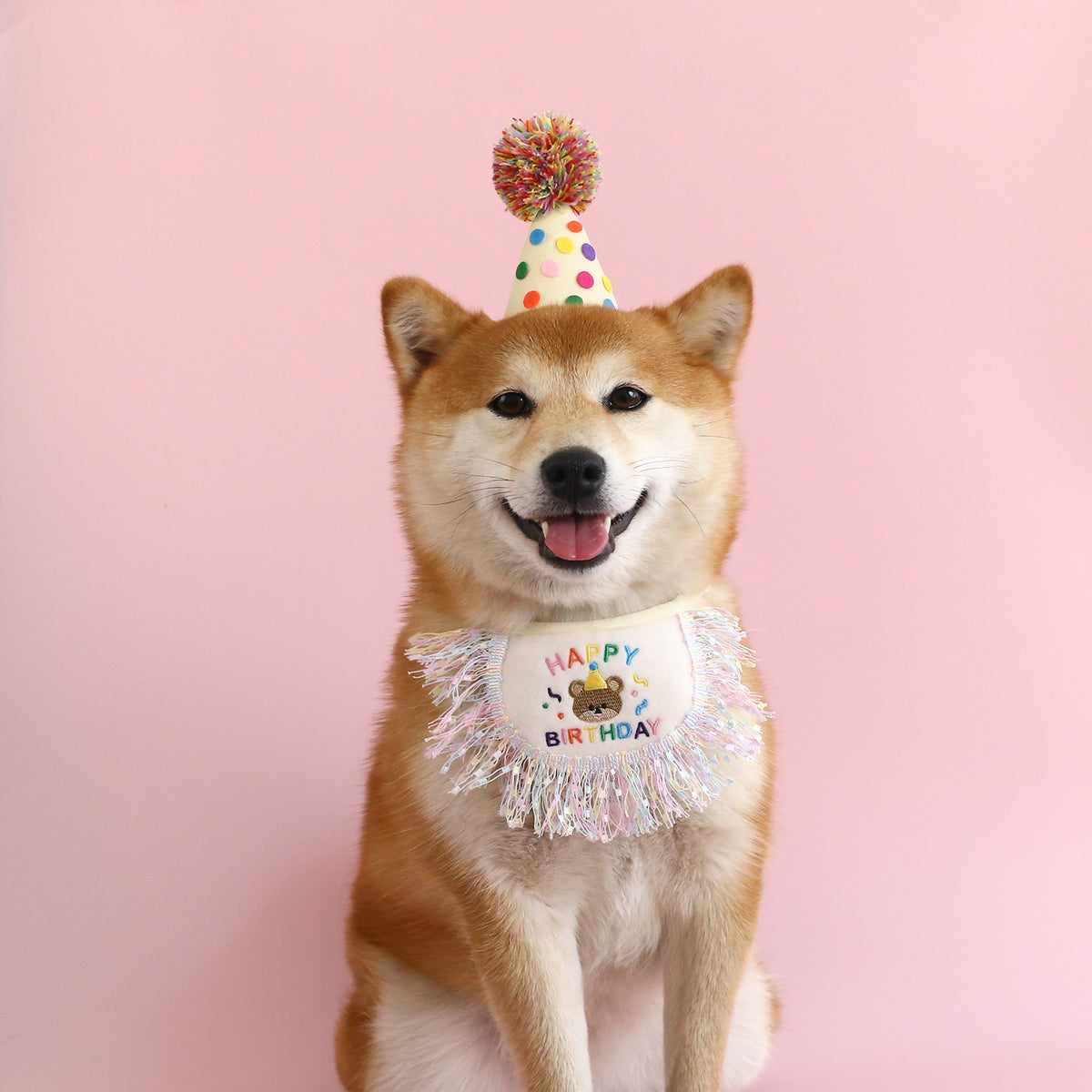 Pet Birthday Party Set Decoration