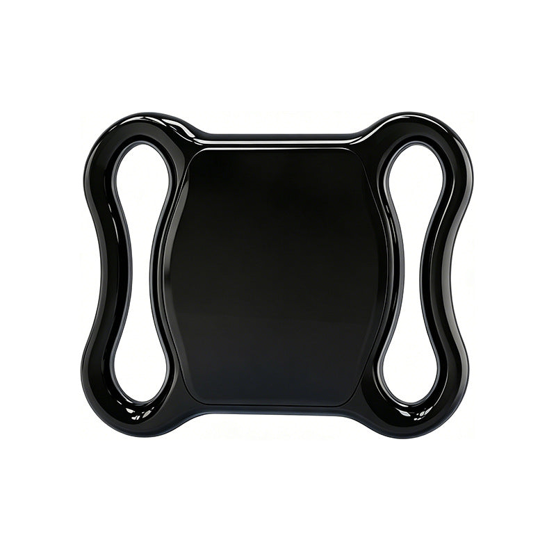 Dual-System Pet Locator with Global Tracking