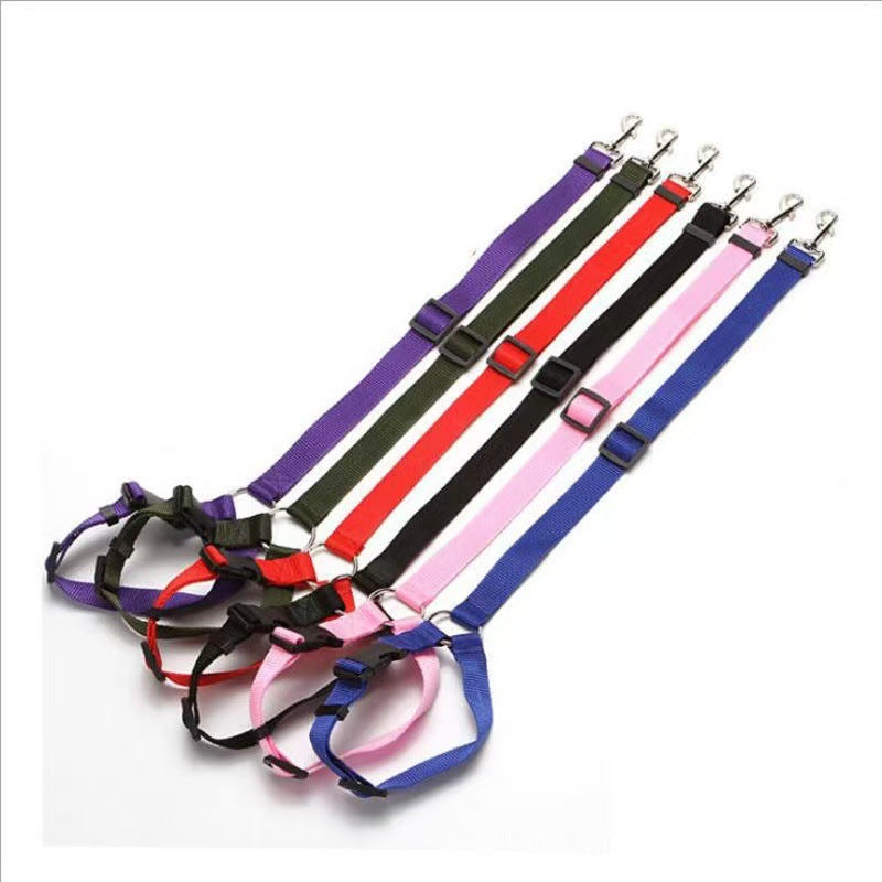 Adjustable nylon pet tether lead, available from Pet Royale UK