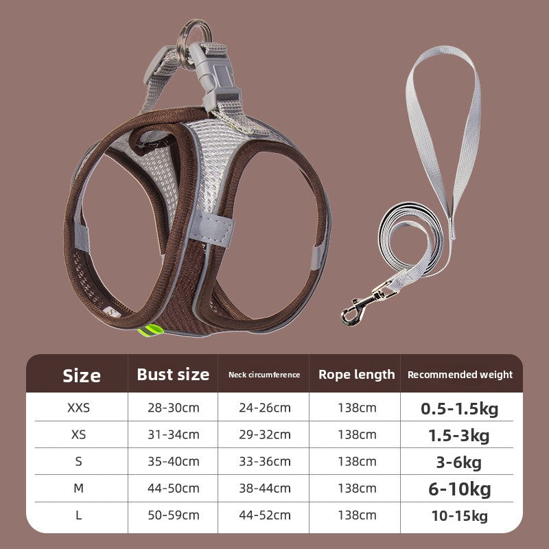 Two-tone padded harness and lead set, available from Pet Royale UK