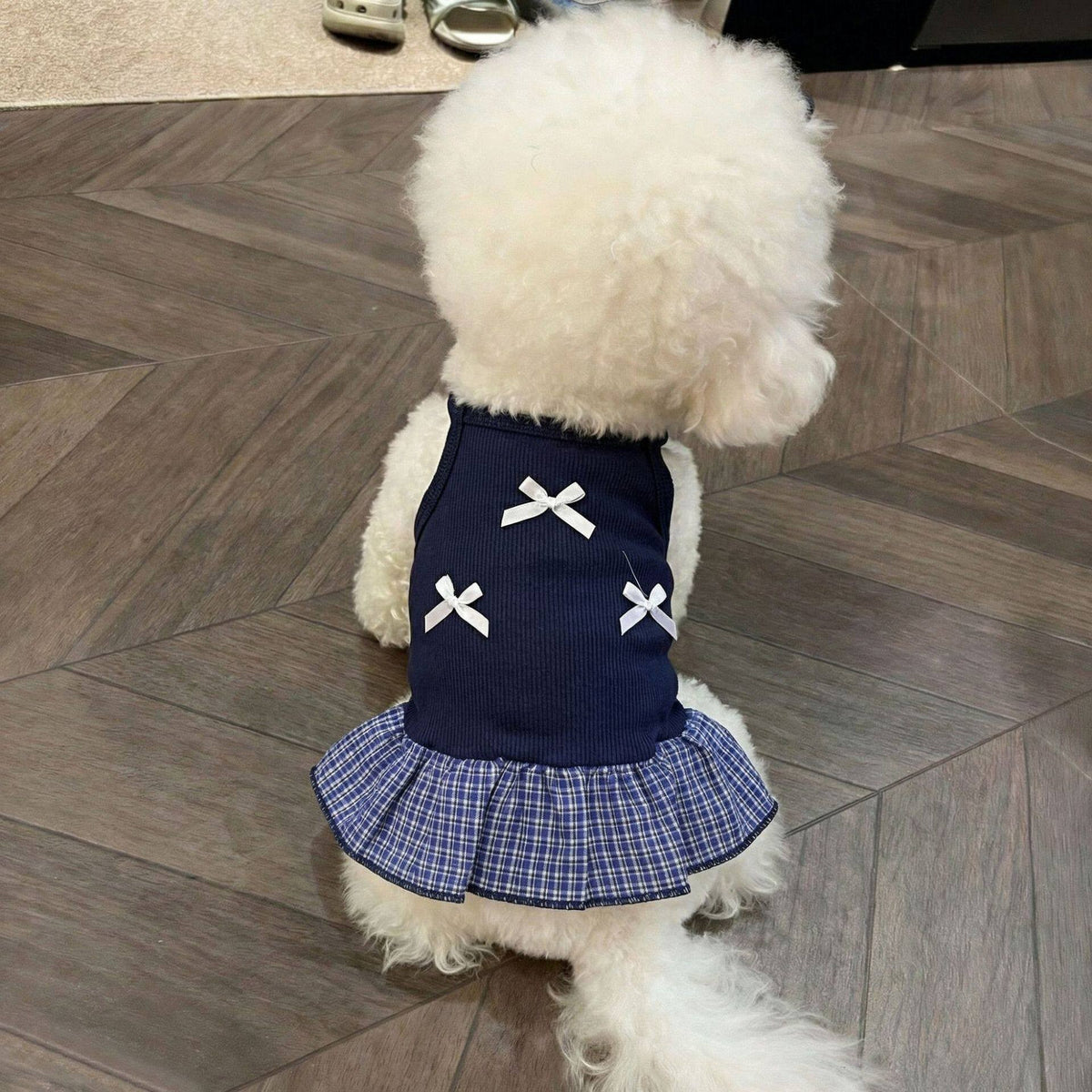 Lightweight blue pet vest dress with three small bows