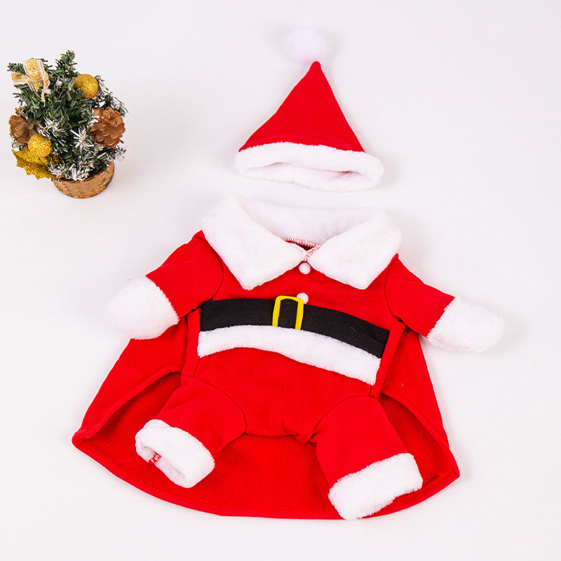 Selection of funny Halloween and Christmas costumes for pets