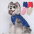 Simple padded cotton coat for small dogs and cats in Blue, close-up detail