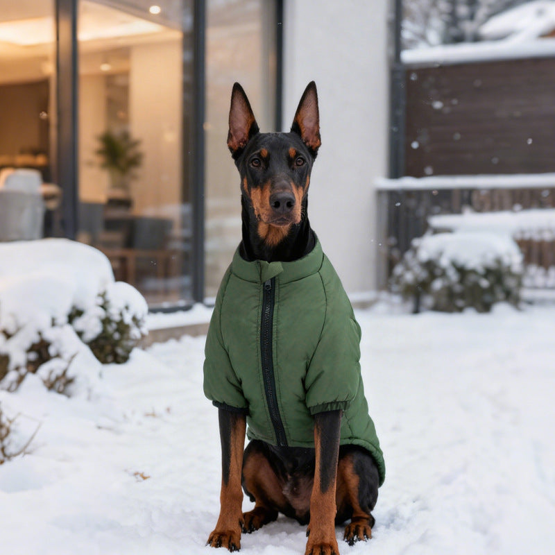 Padded British style dog vest, available in 4 colours, image 3