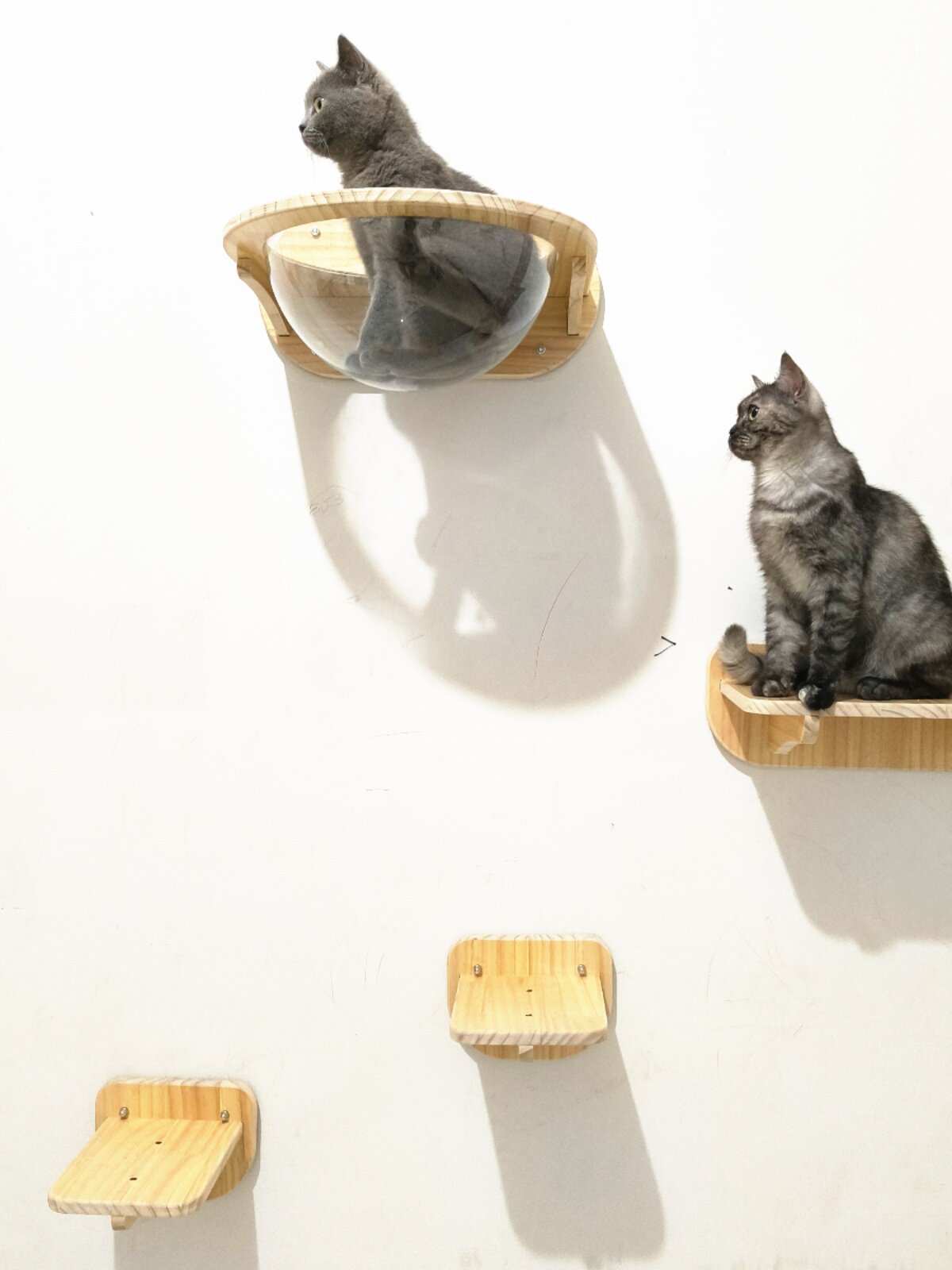 Wall-mounted solid wood cat climbing space capsule module, photo 4