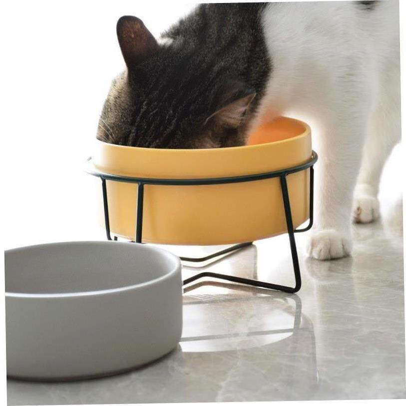 Raised glazed ceramic pet bowl on a stand in pastel yellow, view 1
