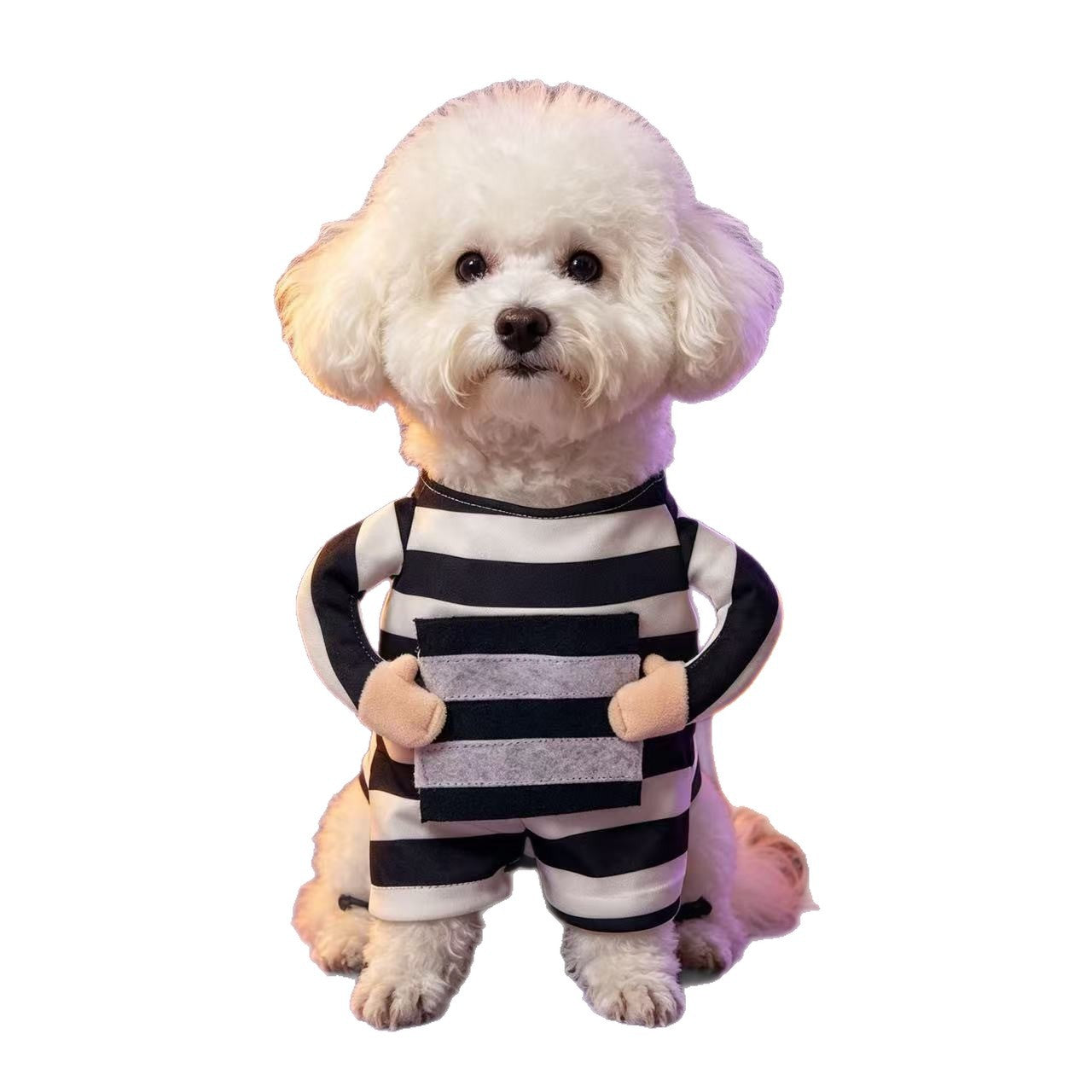 Small dog wearing a funny striped prisoner costume