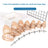 Adjustable breathable plastic dog muzzle with mesh cage, product image 4
