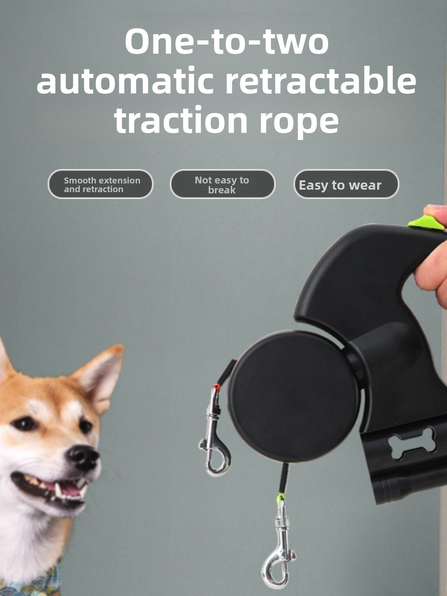 Dual retractable lead for two dogs, close-up detail view