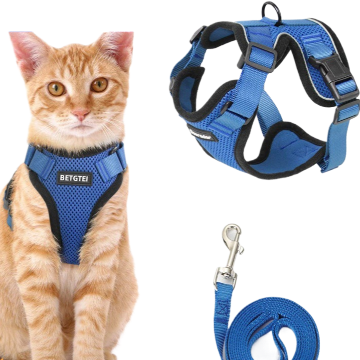 Reflective vest harness with adjustable lead, ideal for everyday use