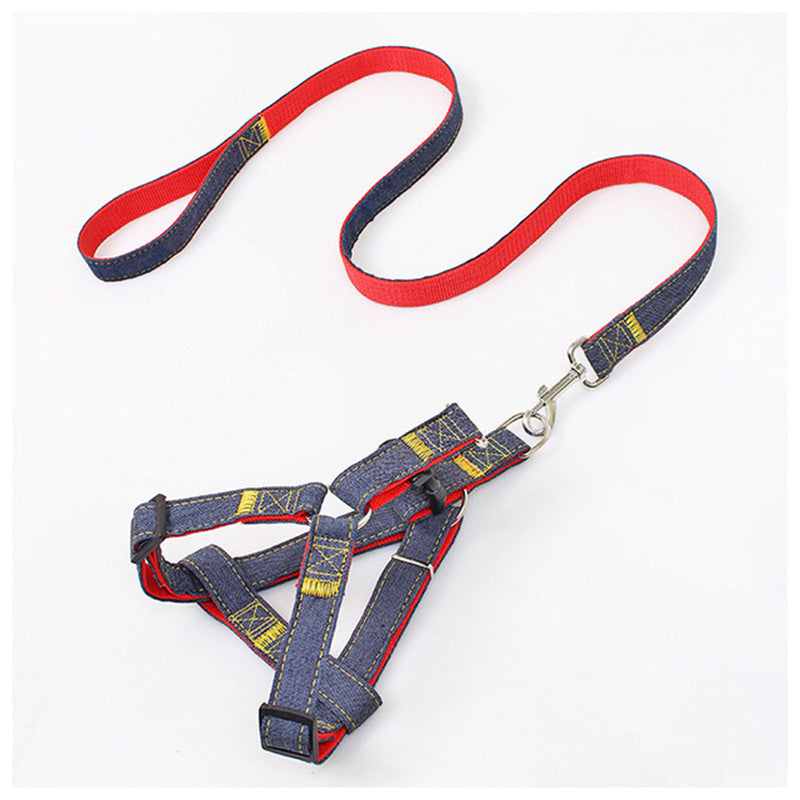 Soft red harness and lead on a small dog