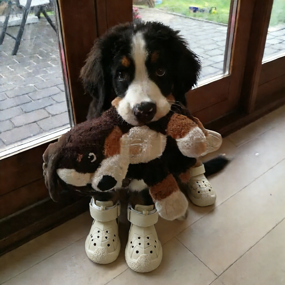 Lightweight waterproof EVA dog shoes, available in 4 colours, image 4