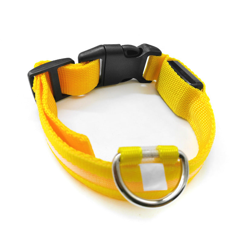 Light up LED dog collar glowing red with reflective strip