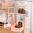 Hanging Automatic Small Pet Water Bottle and Feeder Combo for Rabbits and Hamsters