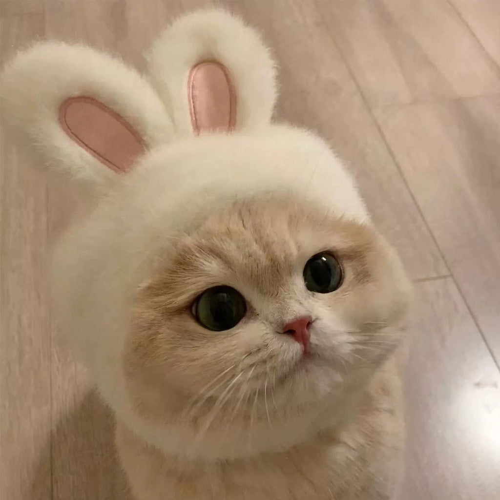 Bunny ear hat for dogs and cats, available in 3 colours, image 1
