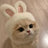 Bunny ear hat for dogs and cats, available in 3 colours, image 1