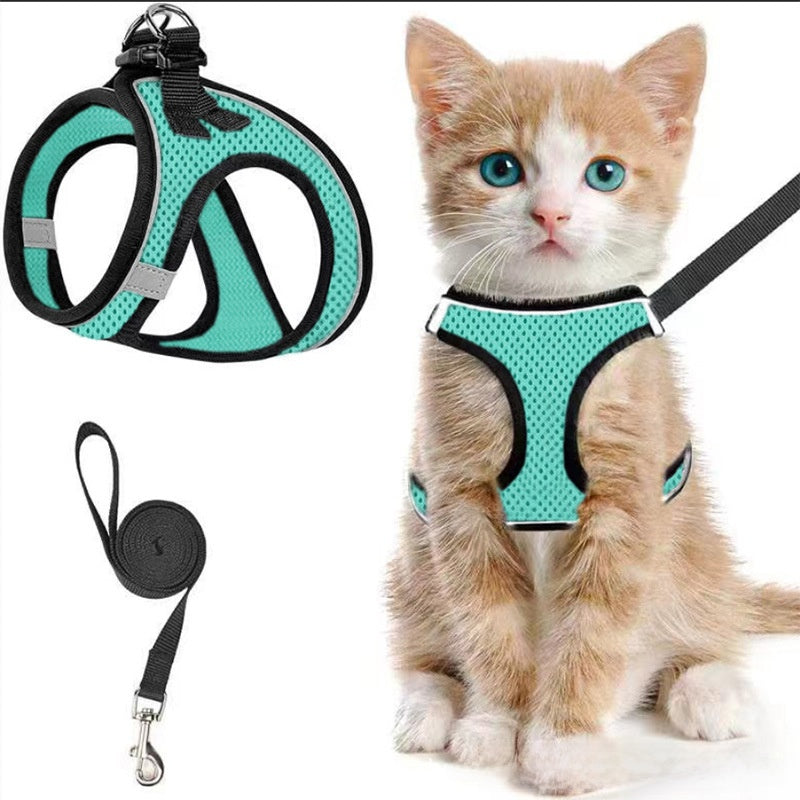 Mesh harnesses for cats and small dogs in eleven colours