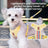 Breathable mesh small dog harness and lead set in 5 colour options