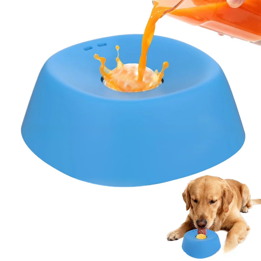 Dog licking bowl