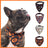 Halloween pumpkin bandana collar for dogs and cats in 2 colour options