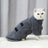 Quick Dry Dog Bathrobe Towel, Absorbent Full Body Wrap