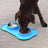 Double dog bowl with removable stainless steel bowls, photo 8 of 8
